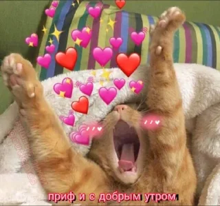 😊