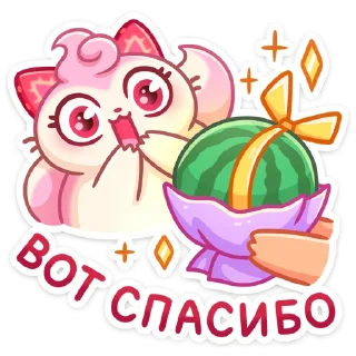 🍉