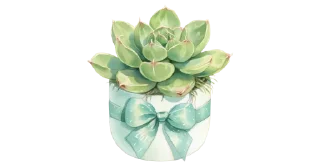 💚