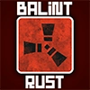 Ruster  @Balint_Rust