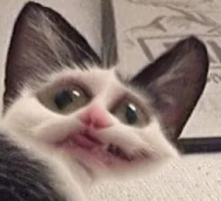 ❓