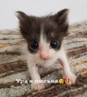 😭