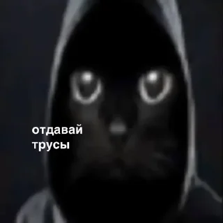 😎