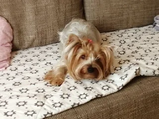 😐