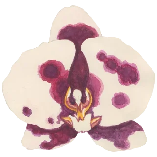 🌸