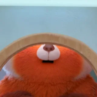 😮