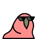🦜