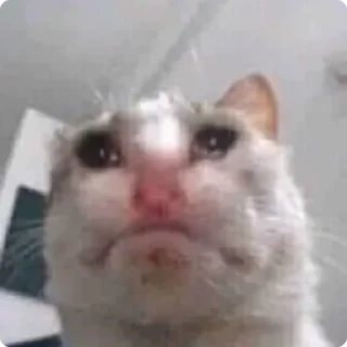 ☹️