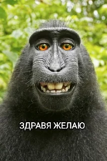 👮
