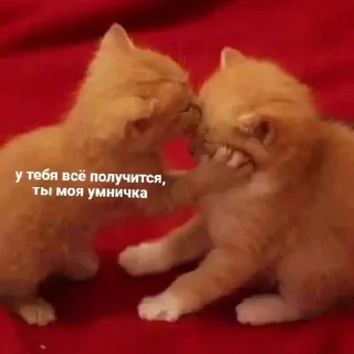 😘