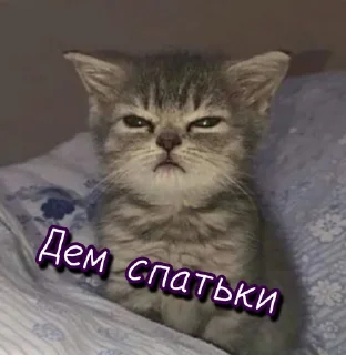 😴