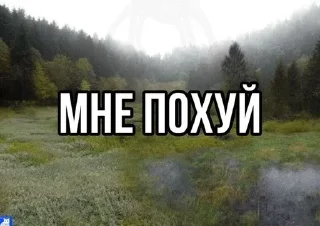 🧂