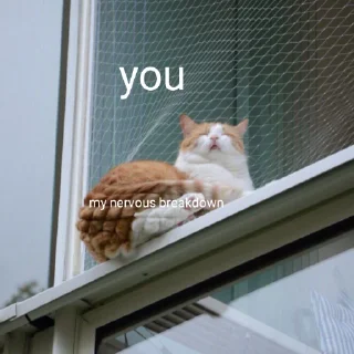 ❤️