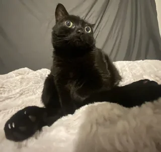 😐