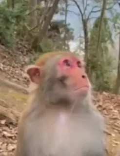 😅