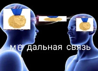 🎖️