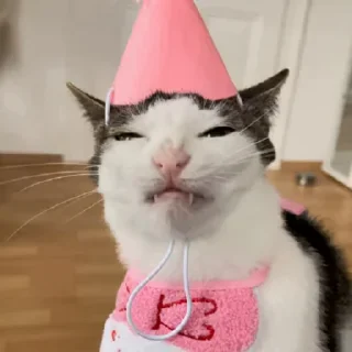 🥳