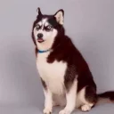 😁