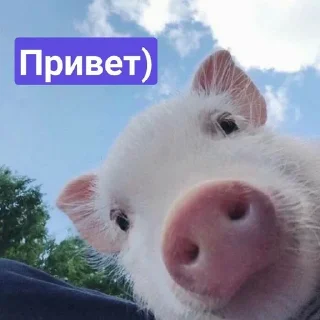👋