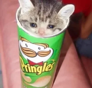 😭