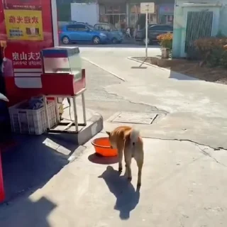 🤩