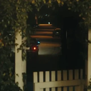 👤