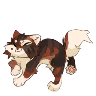 🐱