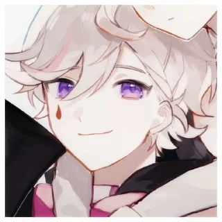 🌟