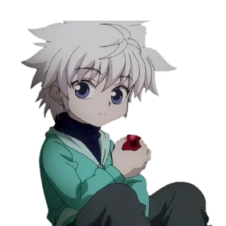@stikersw_w hunter x hunter
