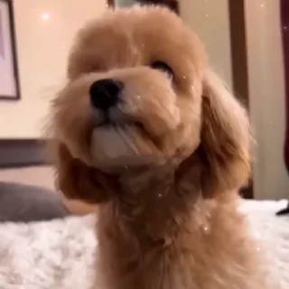 😍