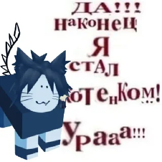 🐱