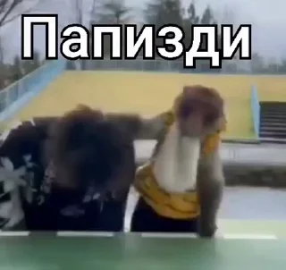 🤩