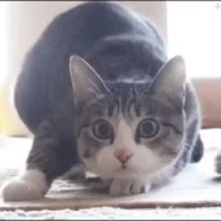 🕺