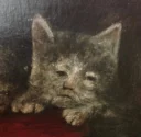 🐯