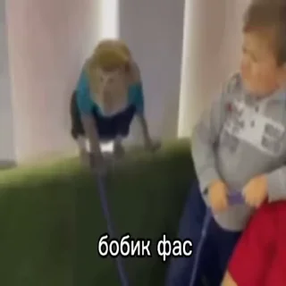 🐶