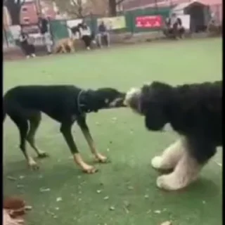 😁