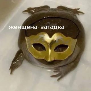 😎