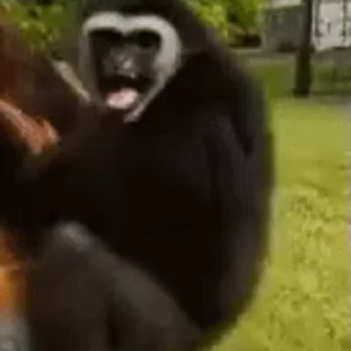 😁