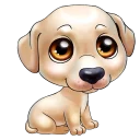 🐶