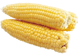 🌽