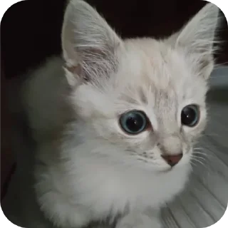 🥰