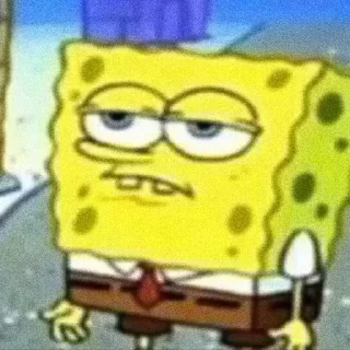 🧽