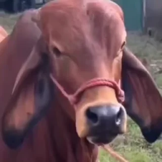 🤨