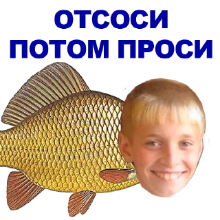 🐠