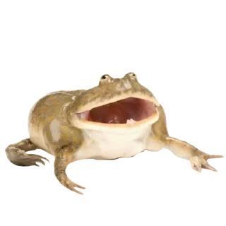 😃