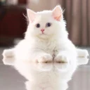 ☺️