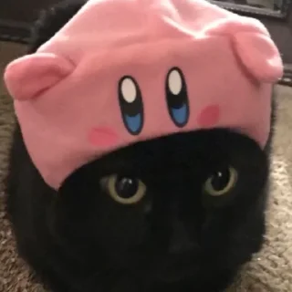 😿