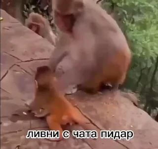 🥰