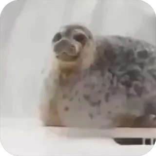 😜