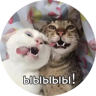 😁